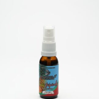 FRUTOS TROPICALES - 24ML
