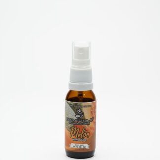 MELÓN - 24ML