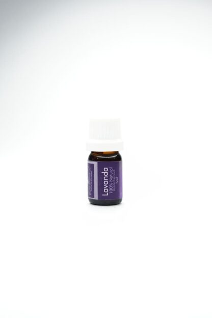 LAVANDA
